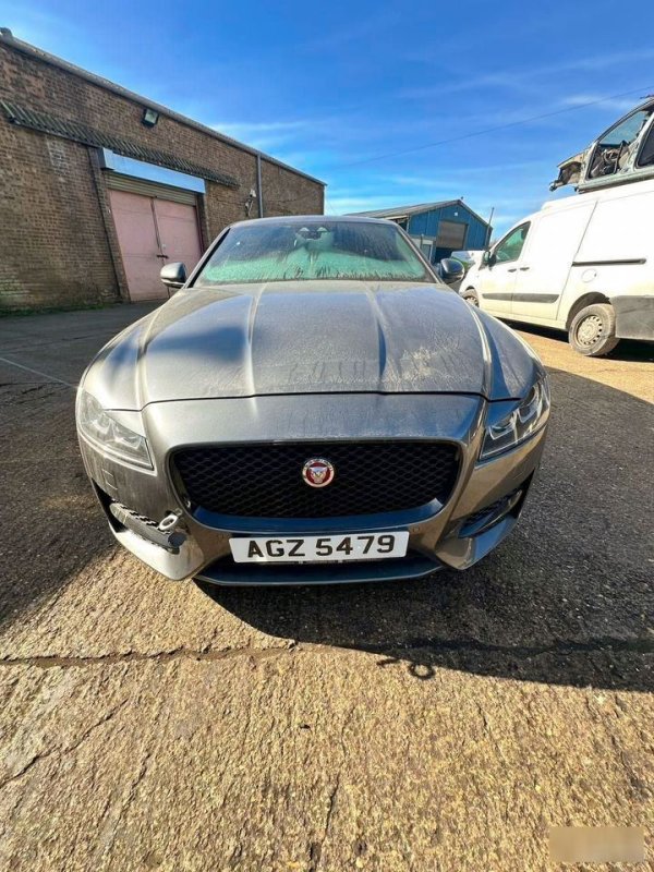 Авто в разбор Jaguar XF X260 — изображение 4